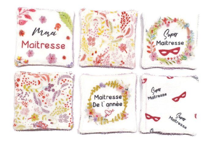 Lot de 6  lingettes lavables pour les maitresses éponge parme