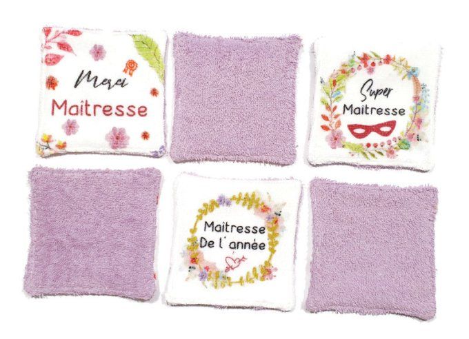 Lot de 6  lingettes lavables pour les maitresses éponge parme