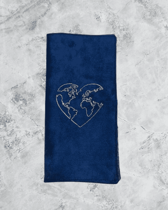 Pochette à passeport , organisateur de voyage " les hélices"